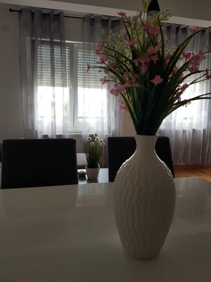 באניה לוקה Apartman Dijana מראה חיצוני תמונה